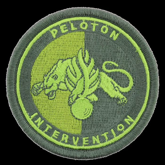 Ecusson Peloton Intervention Gendarmerie BV vert