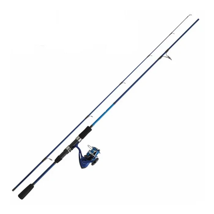 Ensemble Mer Leurre Daiwa D’Wave 02
