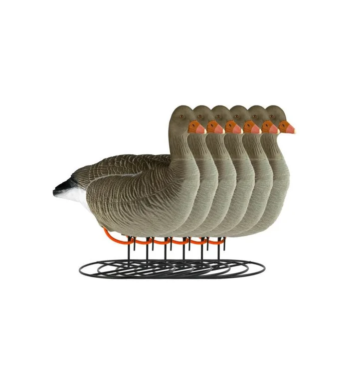 Forme d&rsquo;oie cendrée sur pattes floquée active x6