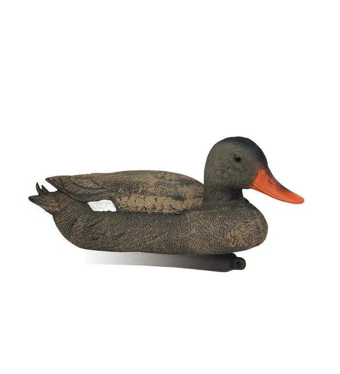 Forme de canard chipeau femelle Stepland