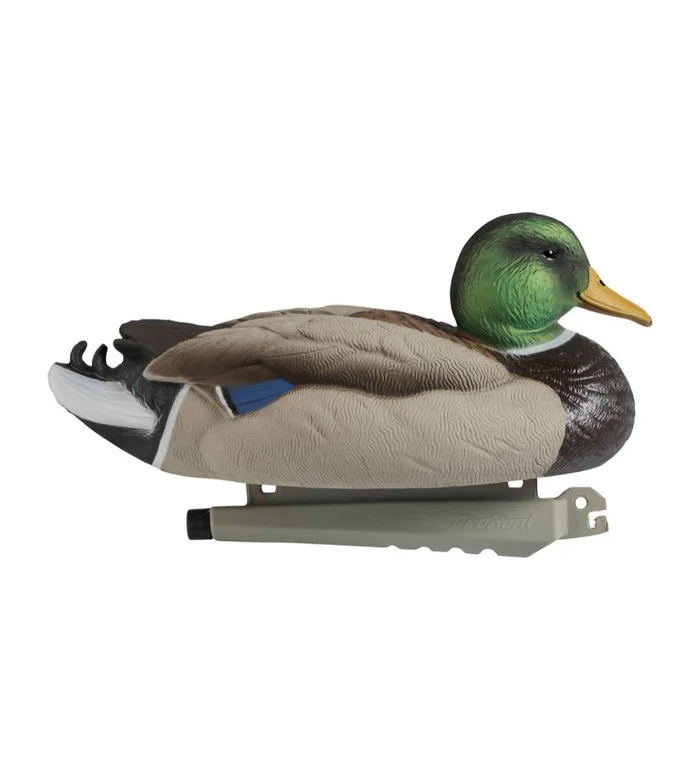 Forme de canard colvert male ultra HD insubmersible Stepland