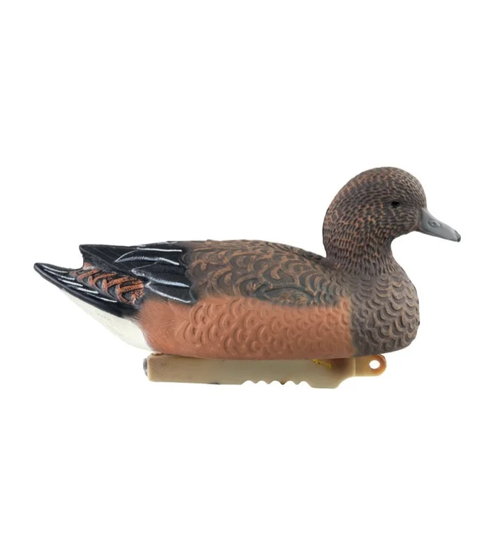 Forme de canard siffleur femelle HD Stepland