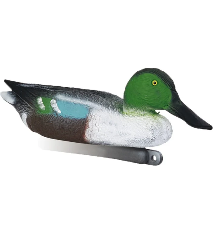 Forme de canard souchet male Stepland