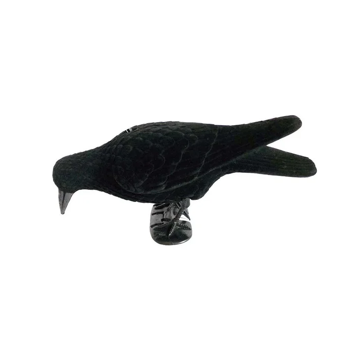 Forme de corbeau mangeur floquée