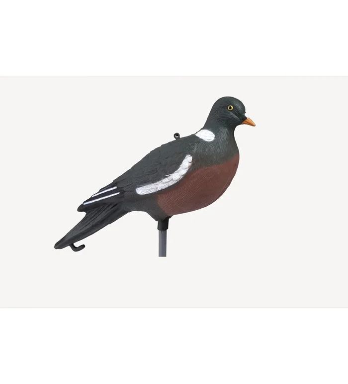 Forme de pigeon ramier HD Stepland