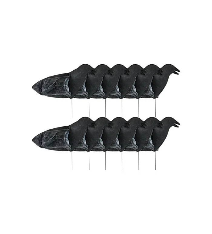 Forme manche à air corbeau Sillosocks x12