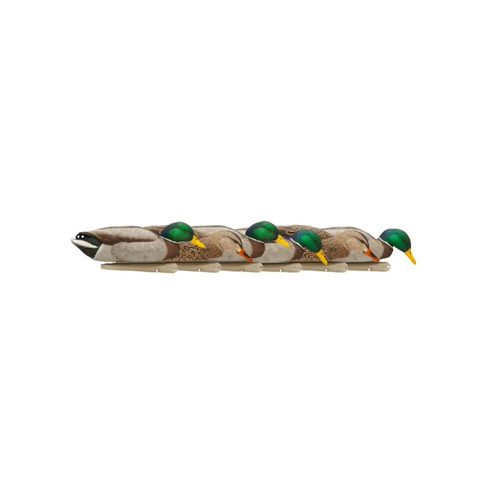 Formes de colvert AvianX Back Water HD