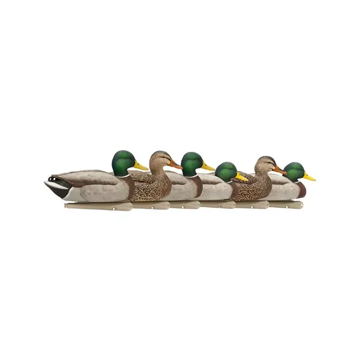 Formes de colvert AvianX open water HD