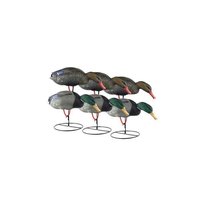 Formes de colvert sur pattes mangeurs x6