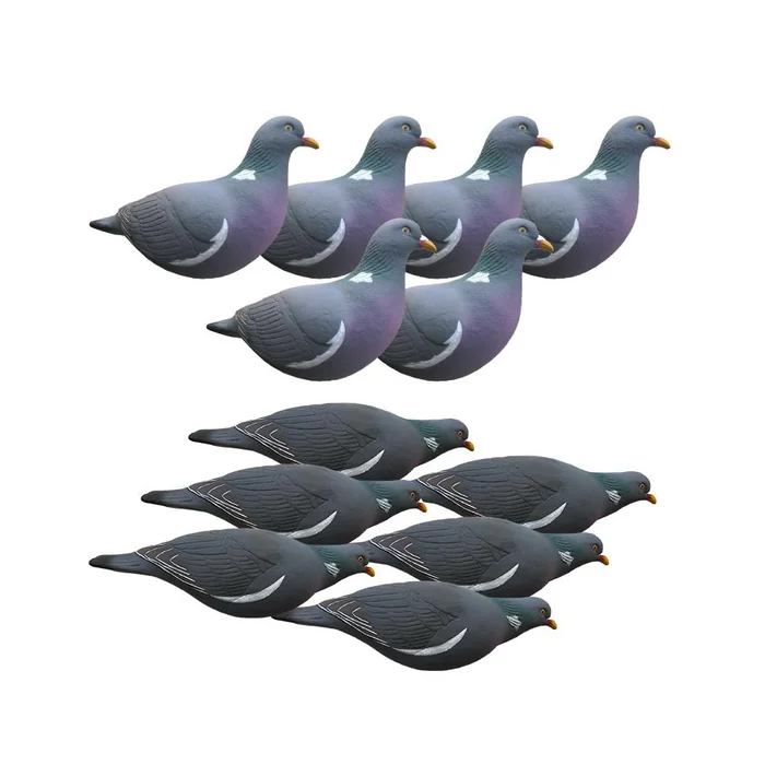 Formes de pigeon Last Pass x12