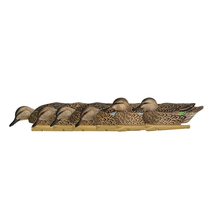 Formes de sarcelle début de saison AvianX