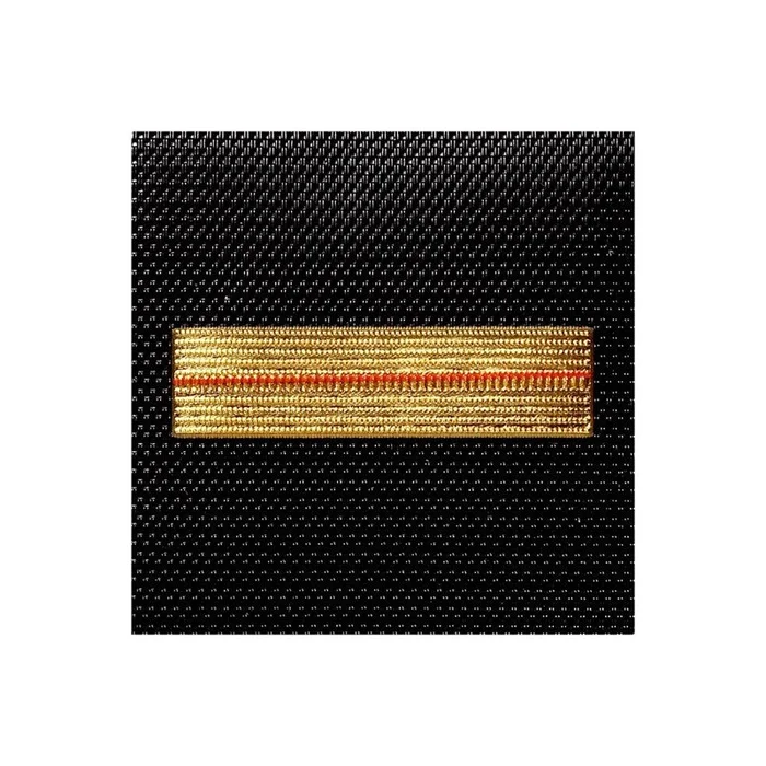 Grade poitrine – Plastique – Gendarmerie – Adjudant