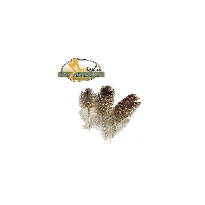 GROUSE (TETRAS) JMC DE CHARETTE
