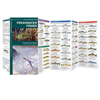 Guide de pêche en eau douce