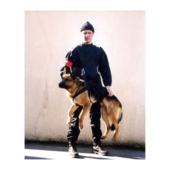 Harnais pour chien Morin Portage Intervention