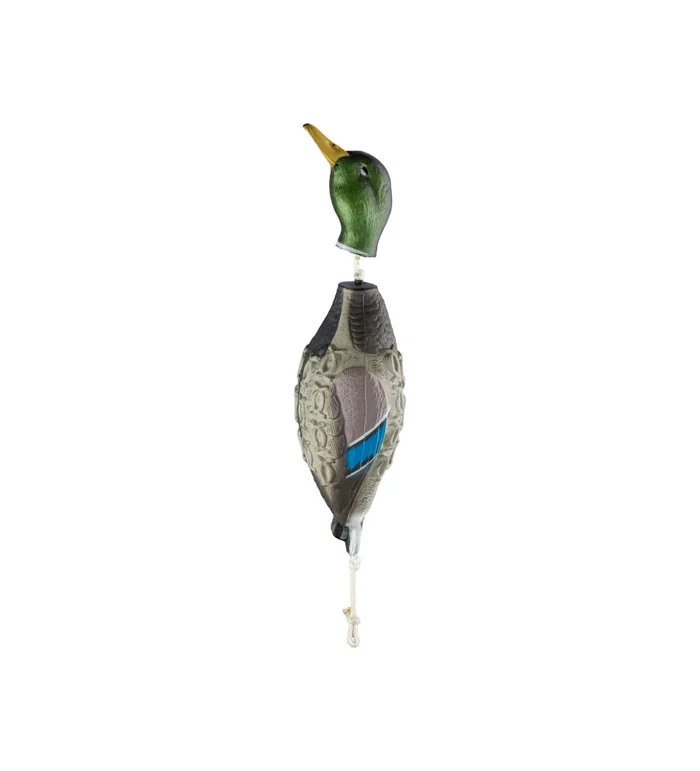 HP&G Apportable – Colvert