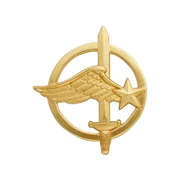Insigne béret Commando de l’air