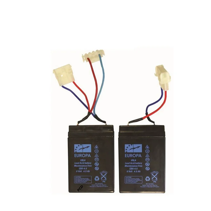 Jeu de 2 Batteries Plomb Pour Bateaux Amorceurs Anatec 6Volts 4.5A