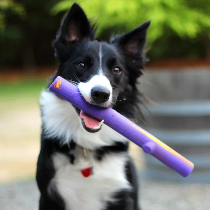 Jouet pour chien bâton croquant Ruff Dawg – Image 3