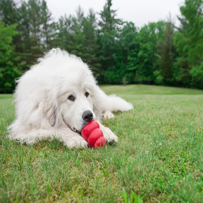 Jouet pour chien Kong Classic – Taille TG – Image 3