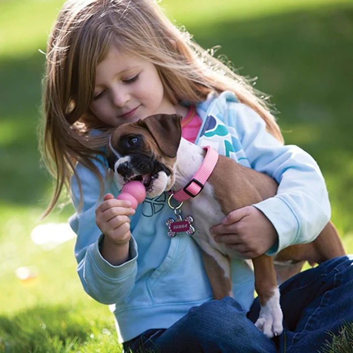 Jouet pour chiot Kong – Petit / Bleu – Image 3