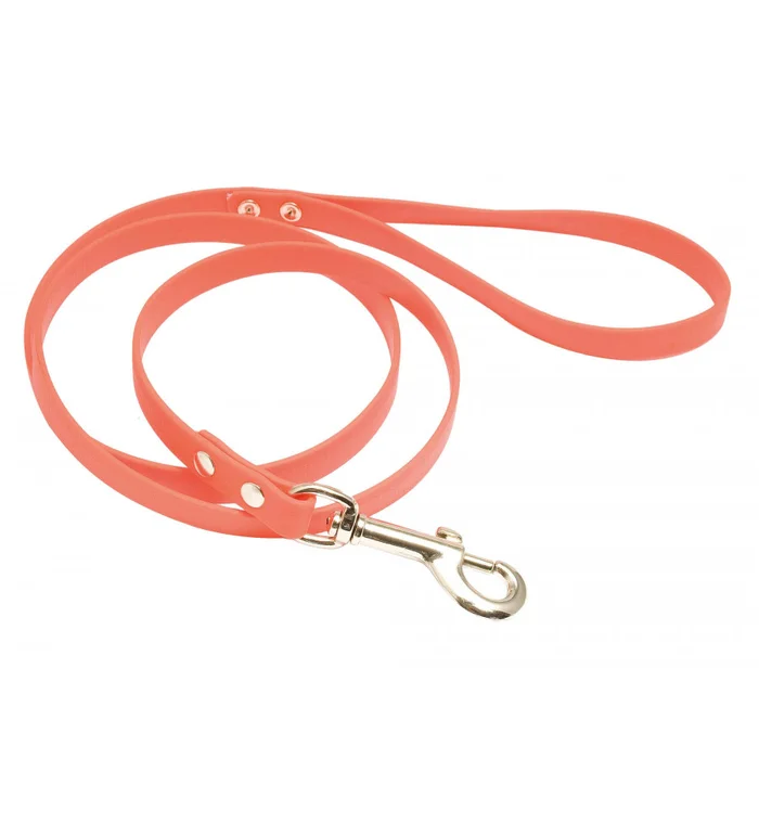 Laisse 1,20 m Biothane orange fluo pour chien – Country