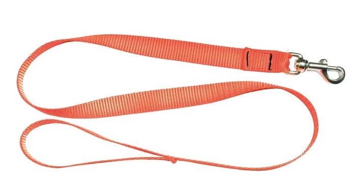 Laisse 1,20 m sangle orange fluo pour chien – Country