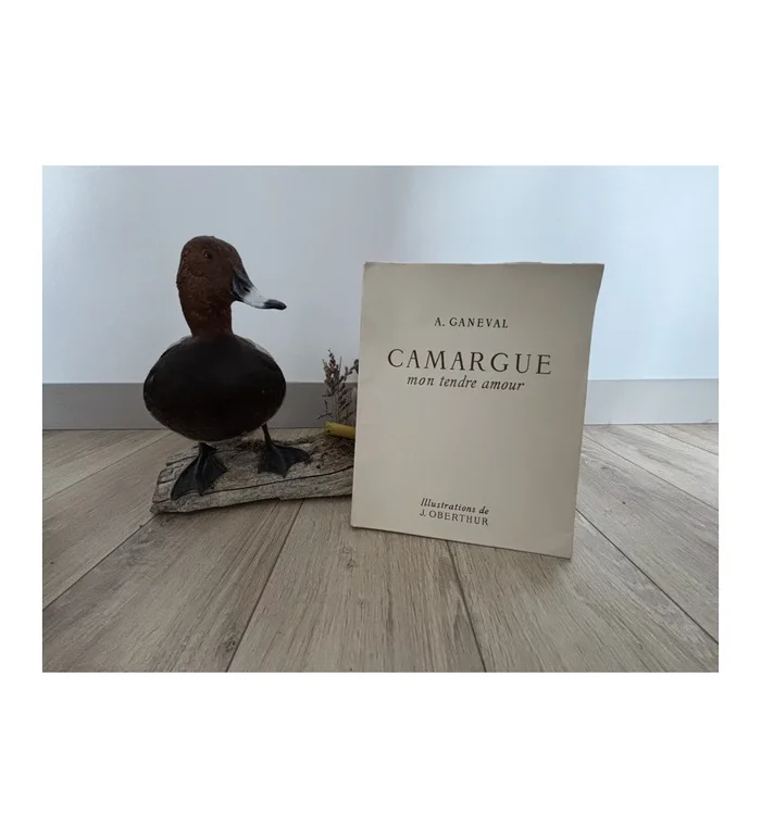 Livre Camargue mon tendre amour – Ganeval