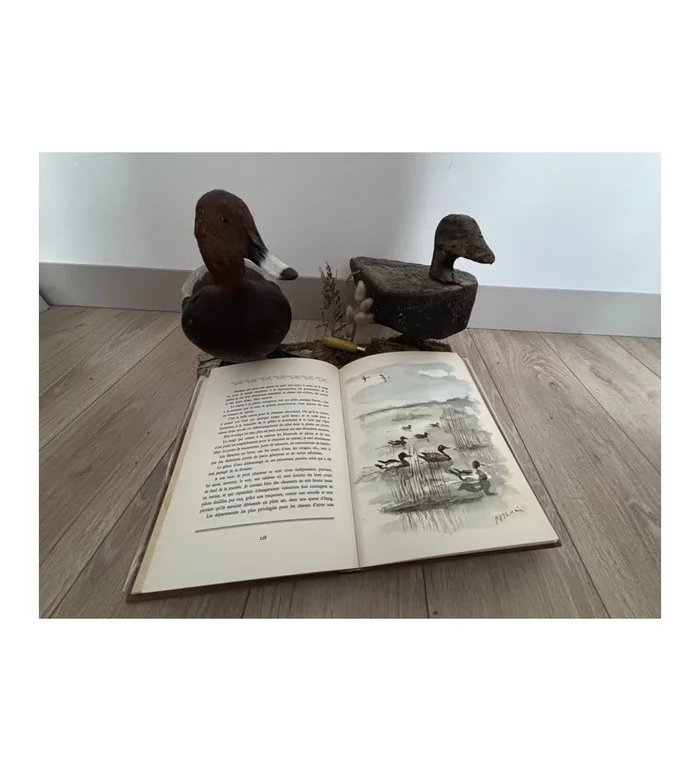 Livre La Chasse au marais – Charles Diguet