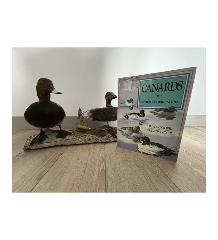 Livre Les canards de l’hémisphère Nord – Gerfaut 1987