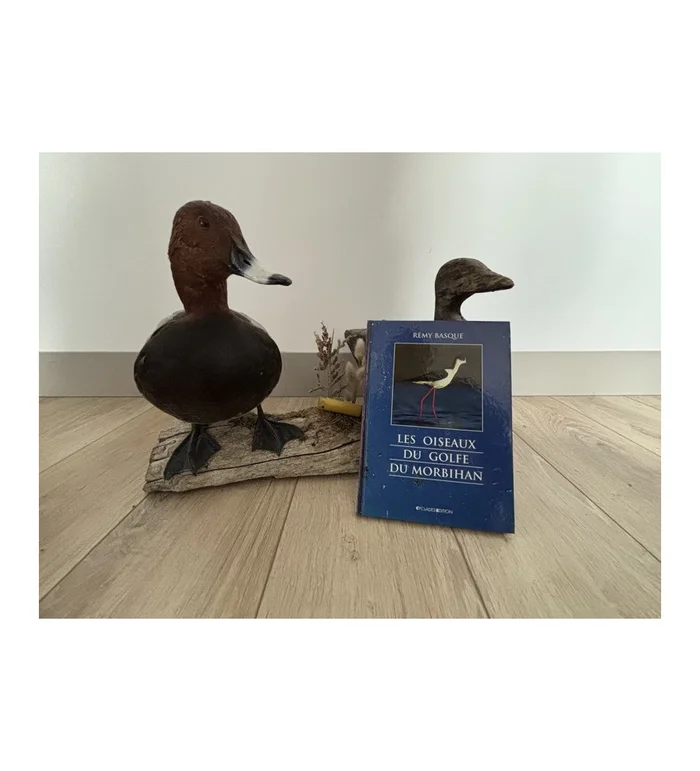 Livre Les oiseaux du Golf du Morbihan – Remy Basque