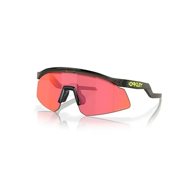 Lunettes Oakley Hydra Coalesce Collection