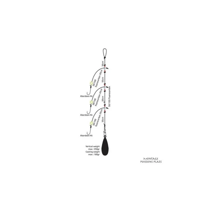 Montage Daiwa D’Rig Surfcasting Poissons Plats