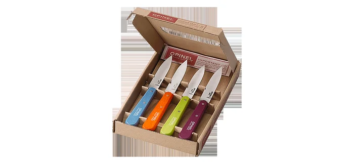 OP1381 – COFFRET 4 Couteaux d’office acidulés
