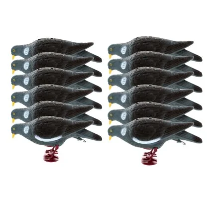 Pack 12 Appelants Pigeons avec pattes qui picorent