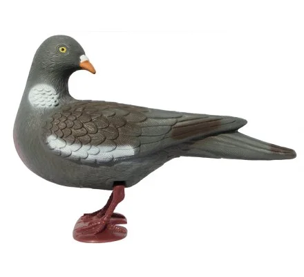 Pack 12 pigeons ramiers actifs avec pattes – Image 3