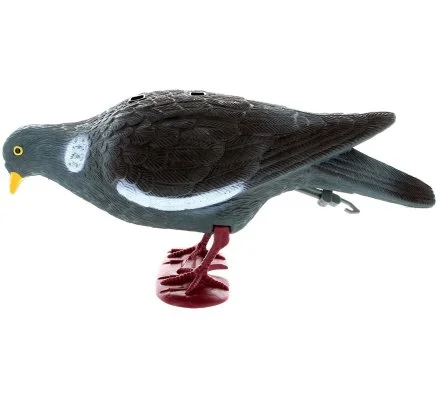 Pack 12 pigeons ramiers actifs avec pattes – Image 4