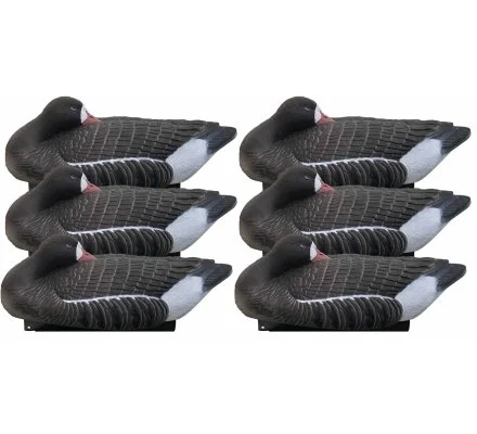 Pack 6 appelants oies rieuses dormeuses HD