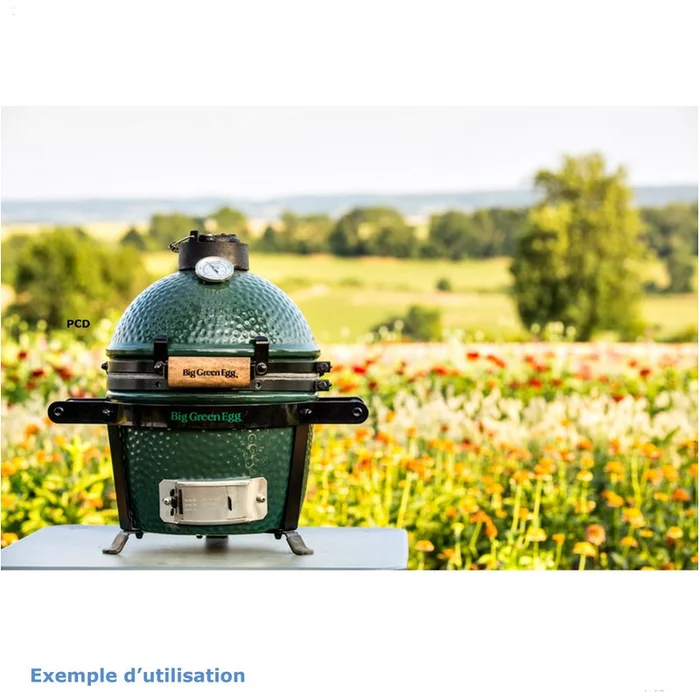 Pack Promo Kamado Big Green Egg Mini Avec Panier et ConvEGGtor