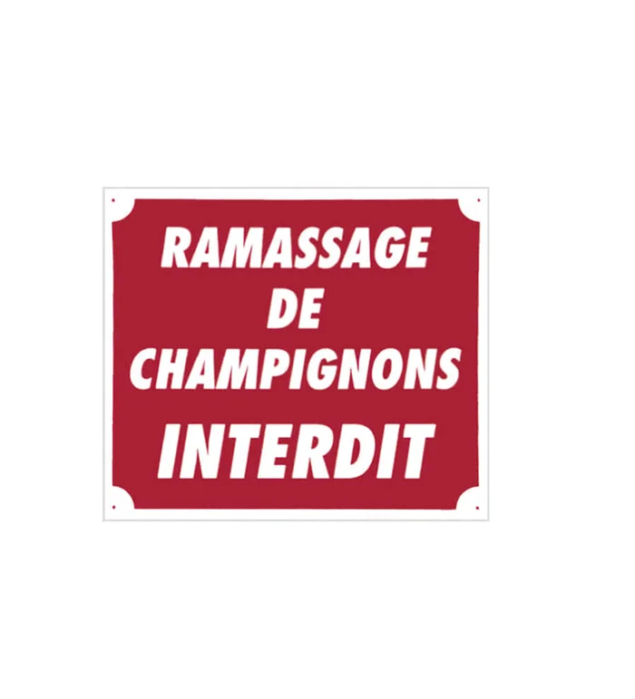 Panneau  »Ramassage de champignons interdit » 30 x 25 cm