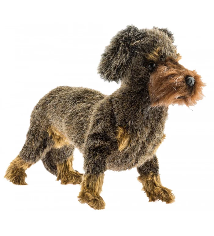 Peluche Teckel à poil dur debout
