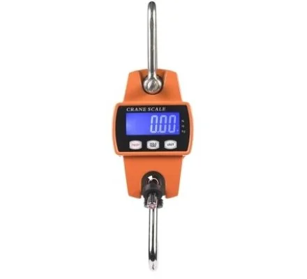 Peson Balance Digitale VERNEY CARRON