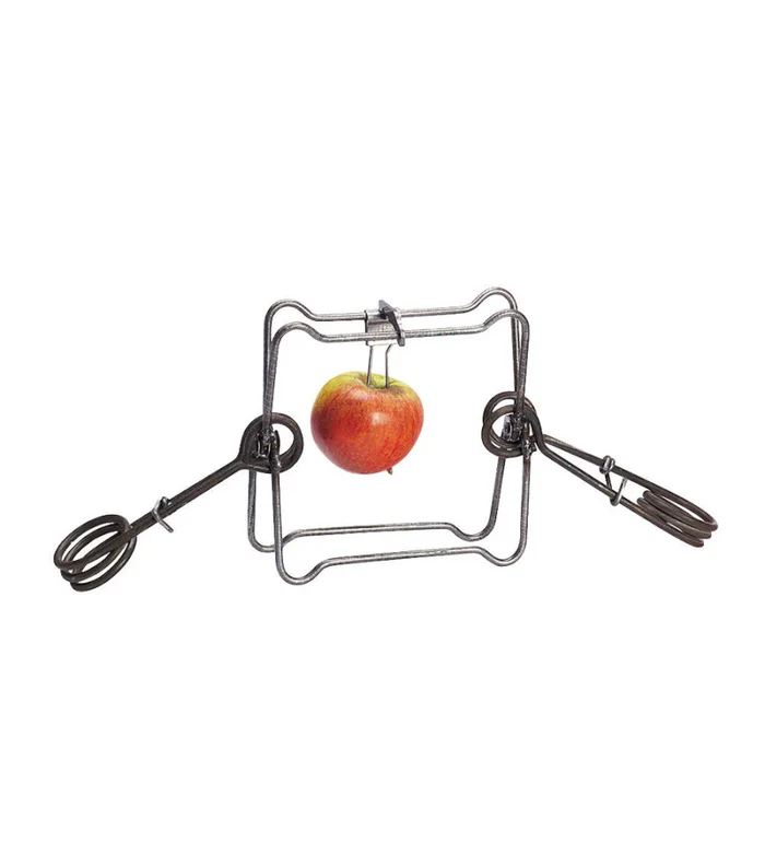 Piège en X 18 cm avec 2 ressorts