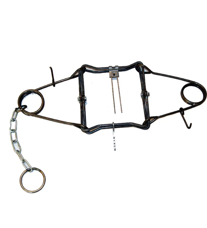 Piège en X – Double ressort – 25 x 25 cm
