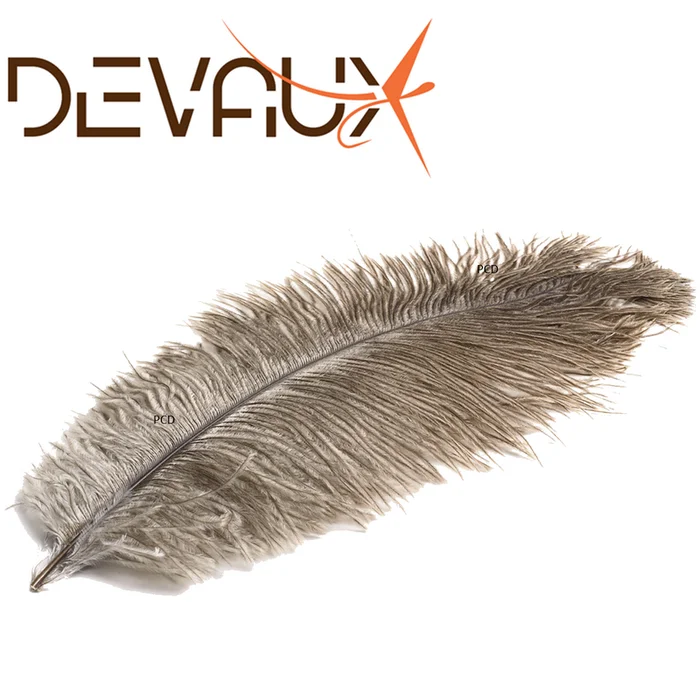 PLUME D&rsquo;AUTRUCHE NATUREL DEVAUX
