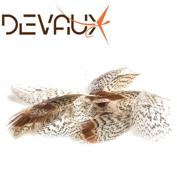 PLUMES DEVAUX PERDRIX