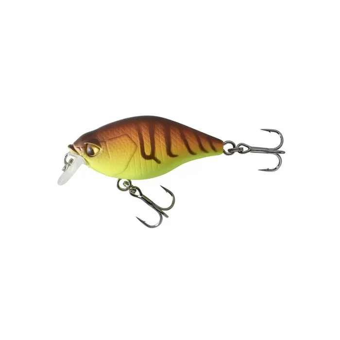 Poisson Nageur Caperlan WXM CRKSR 40F