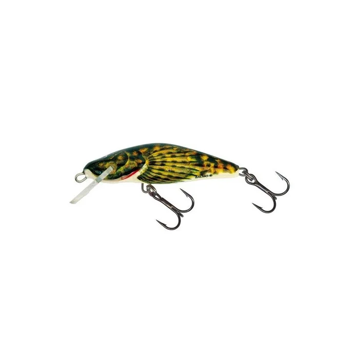 Poisson Nageur Salmo Bullhead