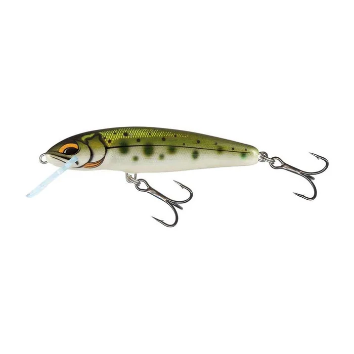 Poisson Nageur Salmo Minnow Coulant 6cm