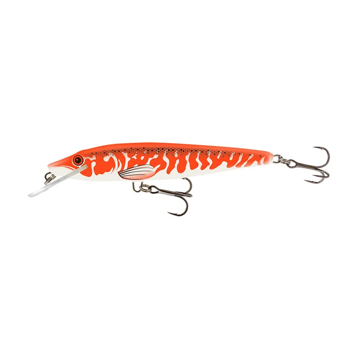 Poisson Nageur Salmo Pike